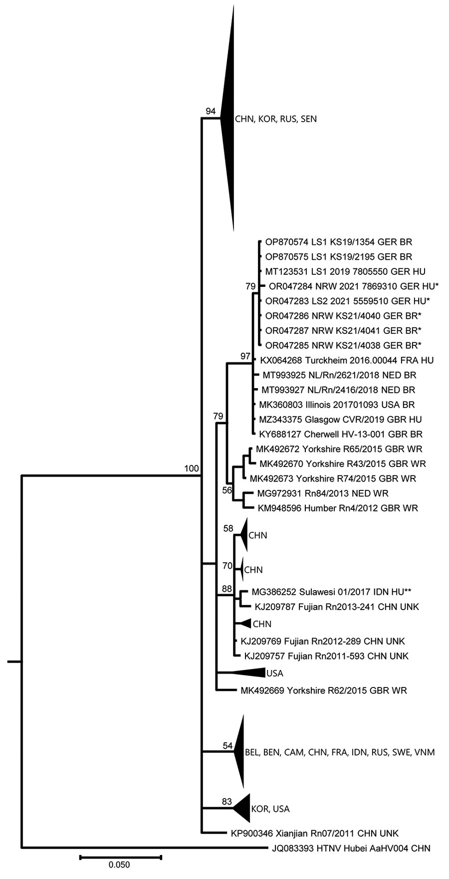Phylogenetic tree of partial large segment Seoul virus sequences from humans and rats, Germany. Segments were 412-nt long, positions nt 2919–3330 based on reference sequence (KM948594_Cherwell_GBR_BR). The partial large segment Bayesian tree was reconstructed using 20 million generations and the Hasegawa-Kishino-Yano substitution model with gamma distribution and invariant sites. Single asterisks indicate sequences from this study, denoted by their GenBank accession numbers. Double asterisks indicate sequence from the imported Seoul virus case from Indonesia (9). Aa, Apodemus agrarius; BEL, Belgium; BEN, Benin; BR, breeder rat (includes feeder, lab, and pet rats); CAM, Cambodia; CHN, China; FRA, France; GBR, Great Britain; GER, Germany; HTNV, Hantaan virus; HU, human; IDN, Indonesia; KOR, Korea; L, large segment; NED, the Netherlands; Rn, Rattus norvegicus; RUS, Russia; SEN, Senegal; SEOV, Seoul virus; SWE, Sweden; UNK, unknown wild or breeder rat; USA, United States of America; VNM, Vietnam; WR, wild rat.