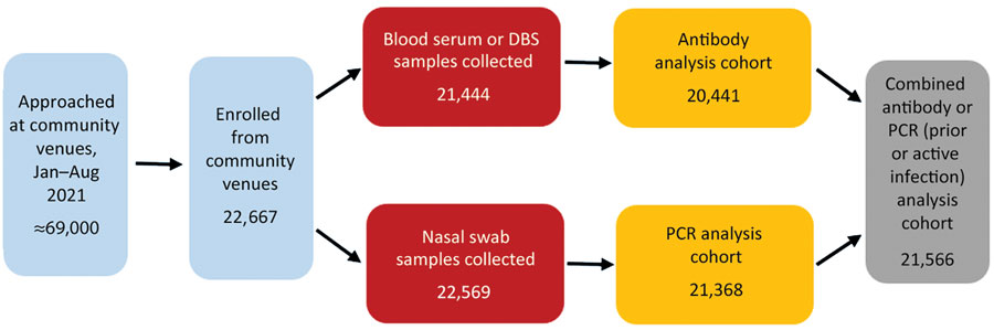 Participant enrollment from community venues in study of prevalence of SARS-CoV-2 infection among children and adults in 15 US communities (COMPASS 2021). Each site completed community enrollment from a median of 30 (interquartile range 24–35) venues. At each site, 80% of community enrollments were completed at a median of 13 (interquartile range 8.5–15.5) venues. DBS, dried blood spot.