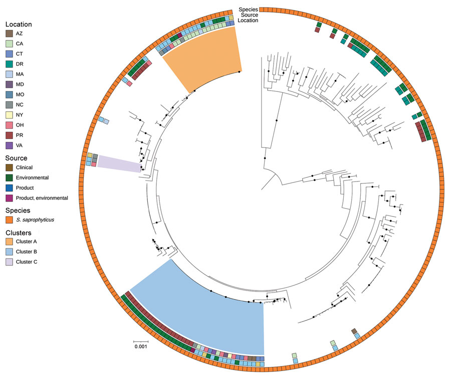 Public Staphylococcus saprophyticus genomes and study isolates from investigation of bacterial contamination of platelet blood products, United States, 2018–2022. Shown is a RaxML (https://cme.h-its.org)‒generated phylogeny based on 1,808 core genes of all S. saprophyticus isolates from this study and all S.saprophyticus genomes from the National Center for Biotechnology Information RefSeq (https://www.ncbi.nlm.nih.gov/refseq) database. Isolate location, isolate source, and species from National Center for Biotechnology Information or by average nucleotide identity were layered onto the phylogeny. Light orange, blue, and purple indicate the 3 clusters from Figure 3, panel A. Black circles on branches indicate 100% support for the branch of 100 bootstraps. US states are identified by 2-letter postal codes. Scale bar indicates nucleotide substitutions per site. DR, Dominican Republic; PR, Puerto Rico. 