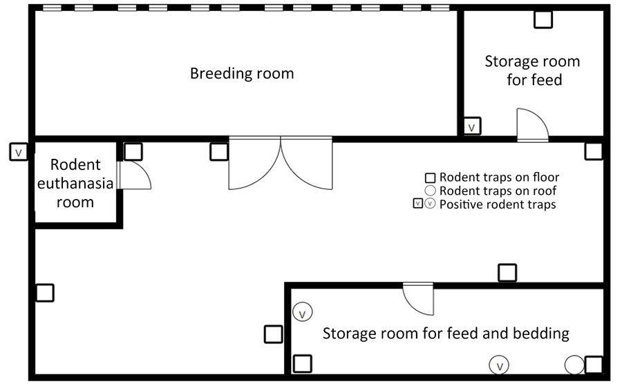 Floor plan of feeder rodent breeding farm and locations where positive feeder rodents were captured in study of recurrent occupational hantavirus infections at the farm, Taiwan.  