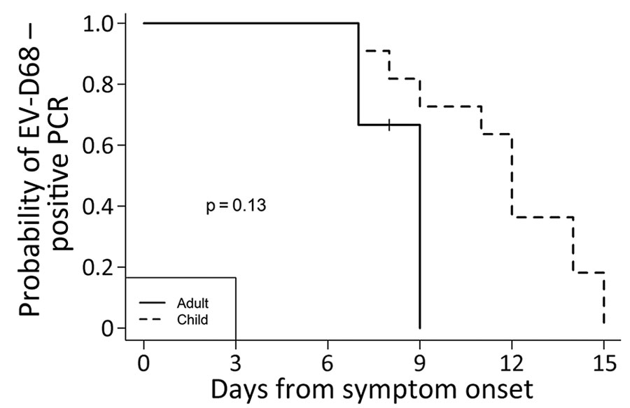 EV-D68 RNA shedding curve for adults (n = 3) versus children (n = 11) in study of shedding and household transmission, Colorado, USA. All children required hospitalization. The + mark indicates the time at which 1 participant was censored at the last day of inpatient collection because they did not report dates of home testing. The log-rank test statistic was used to test whether the 2 curves were different. EV, enterovirus. 