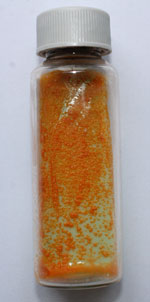 Slow-growing, scotochromogenic Mycobacterium gordonea, showing smooth, yellow-orange pigmented colonies. The sample was cultured aerobically on 8 mL of solid Löwenstein–Jensen media for 14 days at 37°C without exposure to light. This opportunistic nontuberculous mycobacterium was isolated repeatedly from the sputum of an immunocompromised, HIV-positive patient, who had an absolute CD4 count of 1. Sample processing and culture were performed at the National Health Laboratory Service, Green Point TB-laboratory, Cape Town, South Africa. Vial size is 28 mL.  Photograph courtesy of the author.