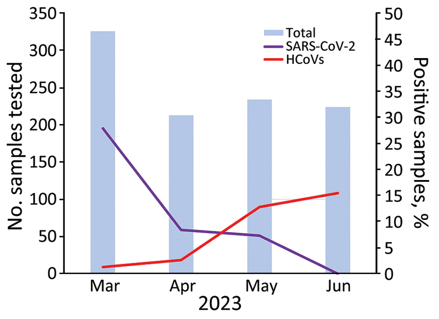 Positivity rates for SARS-CoV2 and HCoV in Hospital São Paulo during betacoronavirus infection outbreak, São Paulo, Brazil, March–June 2023. Blue bars indicate the number of samples tested each month. Purple and red lines indicate the percentage of samples that were positive for each virus. HCoV, human coronavirus. 