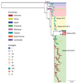 Phylogenetic analysis of viral protein 1 (VP1) coding sequences in study of emerging enterovirus A71 subgenogroup B5 causing severe hand, foot, and mouth disease, Vietnam, 2023. Tree was constructed for VP1 gene sequences by using the maximum-likelihood method to compare genetic relatedness among the B5 sequences from this study and global sequences obtained from GenBank. Line colors indicate the country of origin for each sequence. Box colors indicate the enterovirus lineage. Arrow indicates the emerging B5 lineage from Vietnam carrying an S17G codon substitution within the N-terminus of VP1. Similar phylogenetic tree structure was obtained when the analysis was performed by using complete genome coding sequences. Interlineage and intralineage nucleotide sequence similarities among the lineages were calculated (Appendix Table 3). Scale bar indicates nucleotide substitutions per site.