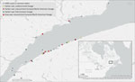 Geographic locations of stranded, dead, or sick seals infected by highly pathogenic avian influenza A(H5N1) virus during the 2022 outbreak in the St. Lawrence Estuary, Quebec, Canada. The locations of harbor seals (Phoca vitulina) gray seals (Halichoerus grypus) and detected H5N1 lineages are marked as are the documented outbreaks in common eider (Somateria mollissima) colonies. Inset shows study location in a map of eastern Canada and US Midwest and Northeast.