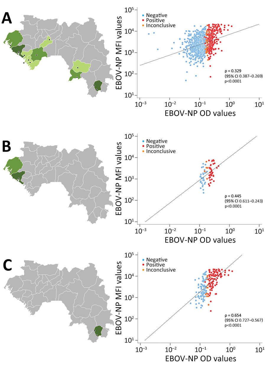 Correlation of indirect ELISA and multiplex microsphere immunoassay for EBOV-NP in study of geographic disparity in domestic pig population exposure to Ebola viruses, Guinea, 2017–2019. Scatter plots of MFI values obtained by multiplex microsphere immunoassay and OD values at 405 nm (OD 405) obtained by ELISA for pig serum samples are shown for all testing sites in Guinea (n = 882) (A), the northern coast (n = 75) (B), and the Forest Guinea (n = 196) (C). Black dashed lines represent reduced major axis lines; ρ indicates Spearman coefficient of rank correlation. Black dots on map indicate study location as detailed in Figure 3. EBOV, Zaire Ebola virus; MFI, mean fluorescence intensities; NP, nucleoprotein; OD, optical density.