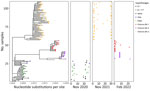 Phylogenetic analysis of SARS-CoV-2 superlineages circulating in humans during deer sampling months in study of SARS-CoV-2 seropositivity in wild fallow deer, Dublin, Ireland, 2020–2022. We analyzed SARS-CoV-2 whole-genome sequences from human clinical samples collected in Ireland covering months corresponding to the deer culling dates (November 2020, November 2021, and February 2022). Branch lengths in the phylogenetic tree (left panel) show the number of base substitutions per site. Colors indicate different SARS-CoV-2 variants. Pangolin lineages are shown with corresponding major circulating variants for each cull month. Location of dots shown for each cull month (right 3 panels) corresponds to the sampling date in each month (horizontal axis) and the phylogenetic position within the tree panel (vertical axis). 
