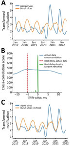 Analysis of temporally adjusted Buruli ulcer and alphavirus notifications in Victoria, Australia,  2017–2022. A) Notifications over time (no delay). Plot of the 2 datasets (outliers censored) was log transformed and smoothed by month and year. B) Optimal shift and cross-correlation analysis. Algorithmically determined cross correlation (blue line) and optimal curve shift of −5 months (vertical red dashed line) that best aligned the 2 log transformed curves shown in panel A. In green is a density curve that depicts the outcomes of 1,000 random data shuffles, serving as a visual indicator of how the observed −5 months curve shift diverges from random chance expectations. C) Notifications over time shifted to incorporate the Buruli ulcer incubation period of 5 months. Cross-correlation aligned smoothed log-transformed notification curves show synchronous inferred transmission peaks and troughs for both alphavirus infection and Buruli ulcer. 