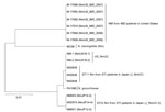 Phylogenetic analysis of the 3.5-kb aniA-norB gene locus of Neisseria spp. isolates in study detecting novel US N. meningitidis urethritis clade subtypes in Japan. Tree was constructed by using the unweighted pair group method with arithmetic mean and 1,000 bootstrap replicates. The gonococcal aniA-norB locus was derived from N. gonorrhoeae FA1090 (GenBank accession no. NC_002946.2); all others are from N. meningitidis isolates. Scale bar indicates nucleotide substitutions per site. IMD, invasive meningococcal disease; Nm, N. meningitidis, ST, sequence type; STI, sexually transmitted infection.