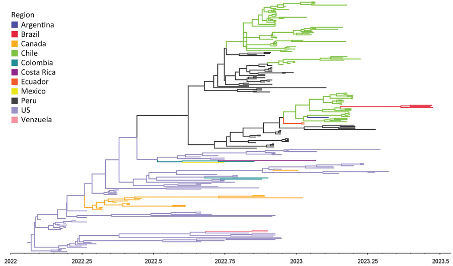 Maximum clade credibility phylogenetic tree of hemagglutinin gene based on discrete trait analysis of geographic location of wild bird carcasses identified as harboring highly pathogenic avian influenza A(H5N1) clade 2.3.4.4b virus, Brazil, 2023. The time scale is shown on the horizontal axis. Each branch is colored according to geographic region.