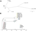 Phylogenetic analyses of Leishmania donovani from the ISC, including Nepal, and reference sequences. Trees were based on genomewide single-nucleotide polymorphisms using RAxML (8). A) Unrooted phylogenetic network of the L. donovani complex, showing samples representing the emerging foci (bold text). B) Rooted phylogenetic tree of reference strains of L. donovani from the ISC, showing the branching of 3 samples (022, 023, and 024) originating from emerging foci. Important bootstrap values are indicated on the branches. The West-African LV9 strain is included as an outgroup. BPK72_SuSL represents an ISC1 sample analyzed using SureSelect sequencing (Agilent Technologies; https://www.agilent.com), confirming that the branching of the emerging foci is not a result of a technical artifact. Scale bars indicate number of single-nucleotide polymorphism differences. ISC, Indian subcontinent.