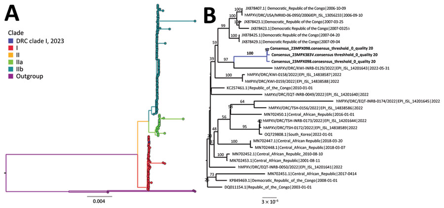 Phylogenetic analysis of MPXV sequences from a cluster of mpox cases described in Kwango Province, Democratic Republic of the Congo. A) MPXV global phylogeny showing that the Kwango Province outbreak cluster belongs to clade I MPXV. B) Phylogenetic analysis of MPXV genome sequences from the reported cases and clade I MPXV sequences from Central Africa. Posterior support values are shown at branch points. DNA was extracted at Institut National de Recherche Biomédicale using a QIAGEN DNA Mini Kit (https://www.qiagen.com) from blood samples and subsequently screened for MPXV with an orthopoxvirus-specific real-time PCR assay. Whole-genome sequencing was attempted on samples from the index case by next-generation sequencing. The library preparation was performed using Illumina DNA Prep with Enrichment (https://www.illumina.com), and the libraries were enriched for MPXV using biotinylated custom probes synthesized by Twist Biosciences (https://www.twistbioscience.com). Note that 23MPX098 (or 23MPX0245V) and 23MPX099 (or 23MPX0245C) are vesicle and crust samples from case-patient 1. Scale bar indicates number of substitutions per site. DRC, Democratic Republic of the Congo; hMPXV, human MPXV; MPXV, monkeypox virus.