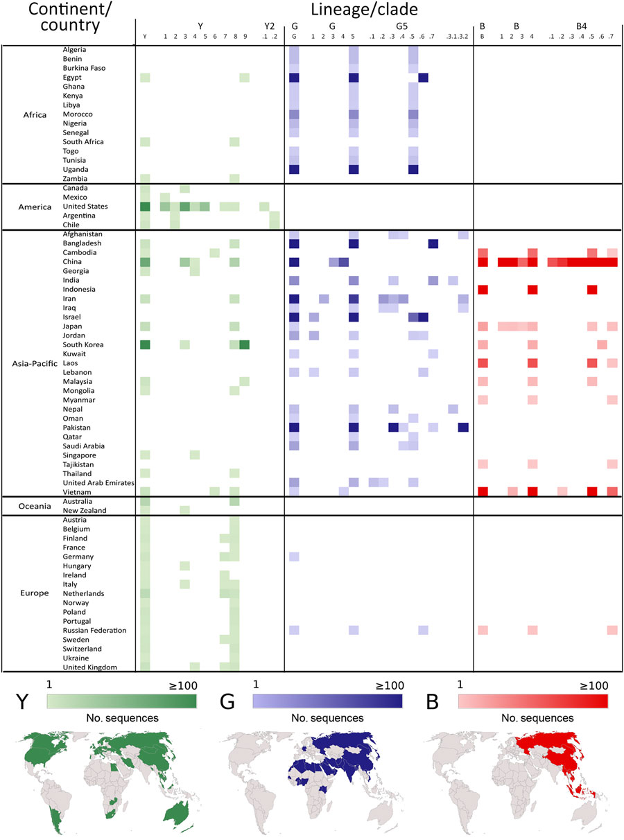 Geographic distribution of each lineage and clade for A/H9 influenza viruses as part of a proposed global classification and nomenclature system for A/H9 influenza viruses. The heat map displays the number of sequences for each lineage and clade per country. Countries were ordered by their macro-region (upper panels). Each country displaying >1 sequence was colored on the map in green (Y lineage), blue (G lineage) or red (B lineage) (bottom panels).