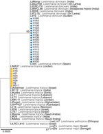 research help sri lanka