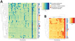 Highly conserved aneuploidy profiles within the cutaneous Leishmania tropica clade from Sri Lanka. A) Heat map visualization of Leishmania abnormal chromosome numbers in 27 patient isolates from Sri Lanka and 32 previously described strains or hybrids. L. tropica isolates from Sri Lanka are labeled with orange lines and L. donovani isolates from Sri Lanka are labeled with blue lines. B) Subset of the data shown in panel A highlighting only chromosomes that are polysomic in >1 isolate. Chromosome copy values were inferred from whole-genome analysis normalized read depth after mapping to the L. tropica L590 reference genome available on TriTrypDB (https://www.tritrypdb.org), with the assumption that all samples have a 2n DNA content. Somy, abnormal chromosome numbers.