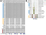 Coverage plots of whole-genome sequencing reads mapped to the reference strain L. donovani cutaneous leishmaniasis from Sri Lanka. A) The absence of reads on the A2 gene locus in the classic cutaneous species (L. major and L. tropica) indicates a truncated pseudogene sequence. B) Variable levels of sequence heterogeneity for the A2 gene are observed among the different L. donovani clinical isolates from Sri Lanka. Plaque skin lesion phenotype was associated with A2 gene sequences that are highly similar to the reference. SL, Sri Lanka.