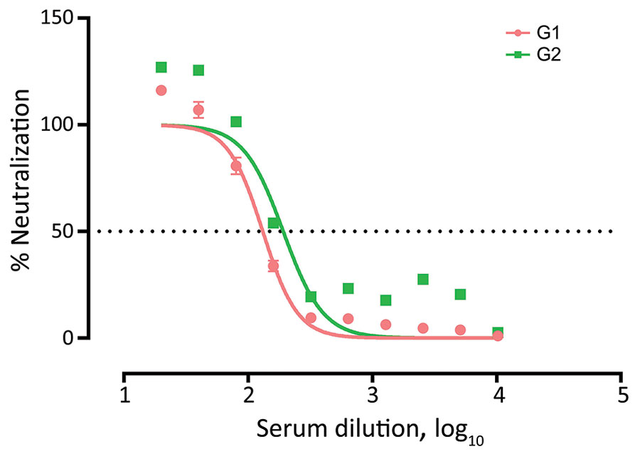 Virus neutralization tests conducted for 2 SARS-CoV-2–seropositive gorillas in study of captive nonhuman primates, Spain, 2020–2023. Serum samples from 2 gorillas tested positive for SARS-CoV-2 antibodies by ELISA. Virus neutralization tests were performed; 50% neutralizing antibody titers were 1:131.4 for G1 and 1:191.9 for G2 serum samples. G1, gorilla 1; G2, gorilla 2.