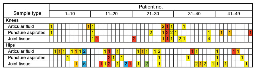 Samples obtained from each patient during revision surgery in study of microsporidia (Encephalitozoon cuniculi) in patients with degenerative hip and knee disease, Czech Republic. Samples were collected from immunocompetent patients during May 2020–September 2021 at Bulovka Hospital in Prague, Czech Republic. Numbers indicate the number of collected samples for each patient. Colors indicate the type of revision surgery: yellow, primary revision; orange, secondary revision; red, third and further revision; blue, both primary and third and further revision; green, both primary and secondary revision.