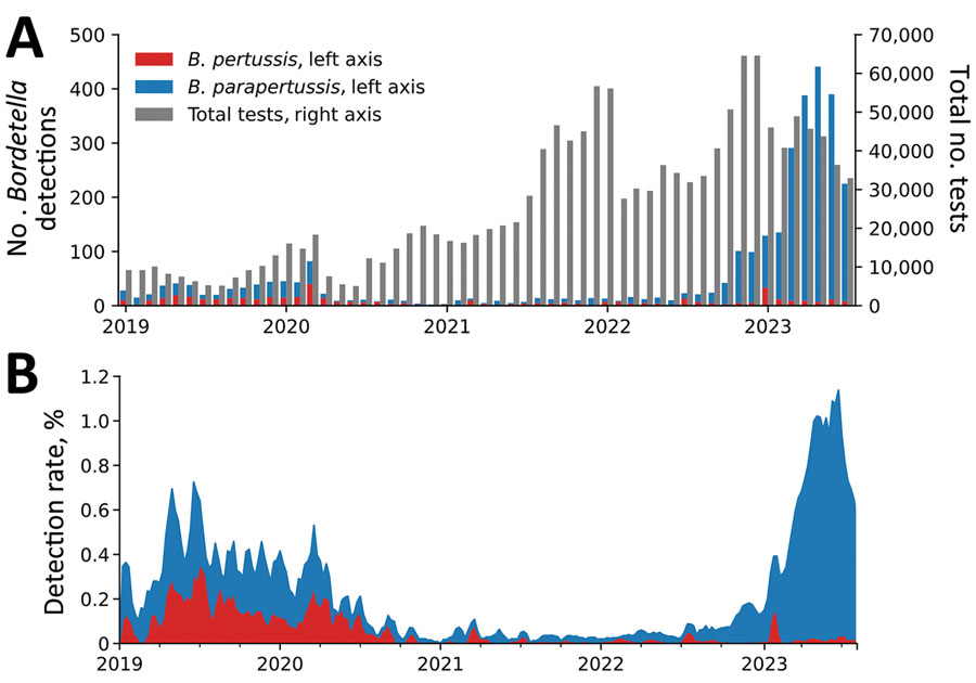 Bordetalla pertussis and B. parapertussis detection count and detection rates, January 2019–July 2023. A) Total number of tests and number of tests positive for B. pertussis or B. parapertussis per month. Scales for the y-axes differ substantially to underscore patterns but do not permit direct comparisons. B) Detection rate (3-week centered rolling average) for B. pertussis and B. parapertussis.
