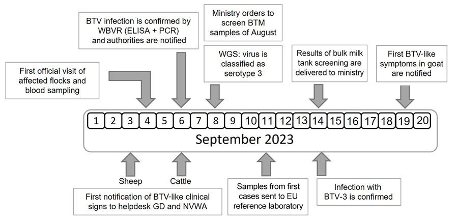 Timeline of the initial bluetongue outbreak caused by BTV-3 in the Netherlands in September 2023. BTV, bluetongue virus; BTV-3, BTV serotype 3; EU, European Union; GD, Gezondheidsdienst voor Dieren; NVWA, Netherlands Food and Consumer Product Safety Authority; WBVR, Wageningen Bioveterinary Research; WGS, whole-genome sequencing.
