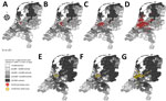 Density of sheep or cattle per 2-digit postal code and number of confirmed cases of bluetongue virus serotype (BTV-3)–positive flocks or herds in the Netherlands, September 2023. Gray shading indicates the density of animals. A–D) Distribution of sheep flocks infected with BTV-3. A) Initial 4 cases of BTV-3–infected sheep flocks notified on September 3, 2023. Confirmed sheep cases during calendar week 36 (B), calendar week 37 (C), and calendar week 38 (D). E–G) Distribution of cattle herds infected with BTV-3. Confirmed cases of infected cattle herds during calendar week 36 (E), calendar week 37 (F), and calendar week 38 (G).