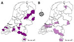 Geographic distribution of bulk milk samples in the Netherlands tested for bluetongue virus (BTV) antibodies in study of emergence of BTV serotype 3 in September 2023. Milk samples were collected in August 2023. Purple shading indicates locations of dairy cattle herds that had animals considered potential positive or positive for BTV-specific antibodies by using ELISA. A) Herds having evidence of vaccination in the previous 5 years. B) Herds having no evidence of vaccination in the previous 5 years.
