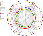 Circular dendrogram showing, from outer to inner rings, AST in study of population structure and antimicrobial resistance in Campylobacter jejuni and C. coli isolated from humans with diarrhea and from poultry, east Africa, 2006–2017. Colored blocks indicate resistance (all isolates were susceptible to gentamicin so this ring is not included), resistome, clonal complex (CC), sequence type (ST), Campylobacter species, poultry sample number, farm type, host and isolate ID for isolates from Kenya and Tanzania, 2006–2017 (human) or 2016–2017 (poultry). Isolates from the same poultry sample that belonged to a different ST are highlighted (samples 15, 22, 35, and 45) using colored isolate identification labels. The resistome indicates detection of resistance genes (encoding for resistance to some aminoglycosides, β-lactam antimicrobials and tetracyclines) and alleles (encoding for resistance for fluoroquinolones in the gyrase A gene, and macrolides in the 23S rRNA gene). Clustering of antimicrobial resistance phenotypes and the resistome with some CCs and STs is evident. For example, multidrug resistance is observed in C. jejuni ST2122 and C. coli ST8043 isolates. Scale bar indicates number of core-genome multilocus-sequence typing allele differences. AST, antimicrobial sensitivity.