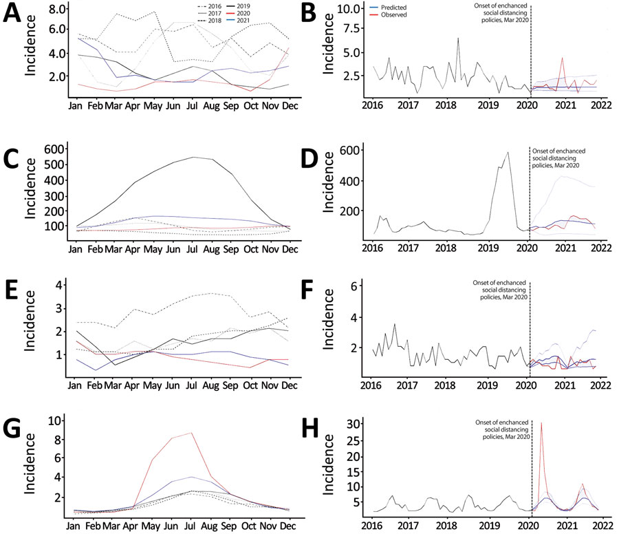 Incidence trends (cases/1 million population) in 4 nationally notifiable gastrointestinal infectious diseases in humans before and during the COVID-19 pandemic, South Korea. A, C, E, G) Monthly incidence levels retrieved from the national surveillance system for 2016–2019 versus 2020–2021; B, D, F, H) observed and predicted monthly incidence levels during 2016–2021. A, B) typhoid; C, D) hepatitis A; E, F) shigellosis; and G, H) Escherichia coli.