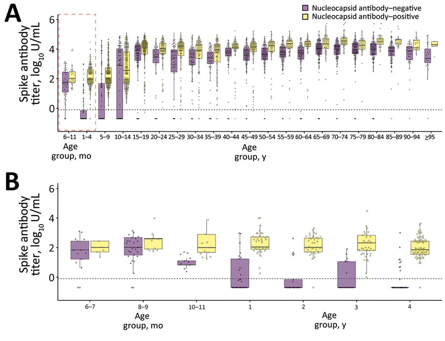 Age-stratified weighted concentrations of spike SARS-Cov-2 antibody stratified by nucleocapsid SARS-Cov-2 antibody seroprevalence in Japan, 2023. A) Spike antibody concentrations stratified by nucleocapsid antibody seroprevalence in persons 6 months to >95 years of age. Red dashed box represents the age group analyzed in panel B. B) Spike antibody concentrations stratified by nucleocapsid antibody seroprevalence in persons 6 months to 4 years of age. Horizonal lines within boxes indicate the median, box tops and bottoms indicate the 75th percentile and 25th percentile, and whiskers extend to 1.5 times the interquartile range (IQR) from 25th percentile and 75th percentile. Dotted horizontal lines represent the cutoff index of 0.8 U/mL. Box plots are weighted with respect to the demographics of Japan.