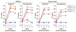 Ct values for virus-specific nucleoprotein RNA from rhesus monkey cells in study of diverse simarteriviruses causing hemorrhagic disease. PBMCs and splenocytes were infected with SHFV at a multiplicity of infection of 0.1 and infected with KRCV-1, PBJV, or SWBV-1 by using volumes equivalent to that of SHFV. Nucleoprotein RNA was measured by using quantitative reverse transcription PCR at different times after inoculation. Dotted lines indicate limit of detection. Numbers in parentheses indicate number of experiments performed for each virus. Error bars indicate SEMs. Ct, cycle threshold; KRCV-1, Kibale red colobus monkey virus 1; PBJV, Pebjah virus; PBMCs, peripheral blood mononuclear cells; SHFV, simian hemorrhagic fever virus; SWBV-1, Southwest baboon virus 1. 