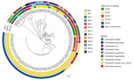 Phylogenetic relationship and global characterization of 112 IMI-producing E. cloacae complex received by the French National Reference Center, France, 2012–2022. The phylogenetic tree was built with a single-nucleotide polymorphism analysis approach from whole-genome sequencing data. MLST, multilocus sequence type; ST, sequence type. 
