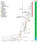 Dengue virus (DENV) serotype 4 maximum clade credibility tree, generated from 115 DENV-4 nucleotide sequences, showing emergence over time. Sequences are labeled by country of sample origin, indicated by colored circles, and include Nicaragua sequences (red) and publicly available sequences, as indicated. Nicaragua clades are indicated with square brackets labeled by year of detection. The time to most recent common ancestor (95% high probability density) is indicated at the nodes leading to Nicaragua clades. Genotypes are identified in the vertical bar to the right. Posterior node probabilities are indicated at major nodes.