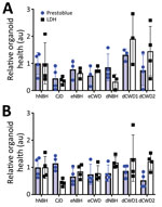 PrestoBlue viability and LDH release assays for the 129MM and 129MV representative organoids measured before harvest at 180 days post innoculation in study of lack fo transmission of CWD prions to human cerebral organoids. Results indicate CWD exposure does not reduce organoid viability. Individual dots represent a single organoid, bars indicate the mean response, and error bars show SDs. No condition was statistically changed from controls as determined by 1-way analysis of variance with Welch’s correction. au, arbitrary units; CJD, Creutzfeldt-Jakob disease; CWD, chronic wasting disease; dCWD1, white tail deer CWD; dCWD2, mule deer CWD; dNBH, deer normal brain homogenate; eCWD, elk CWD; eNBH, elk normal brain homogenate; hNBH, human normal brain homogenate; LDH, lactate dehydrogenase.