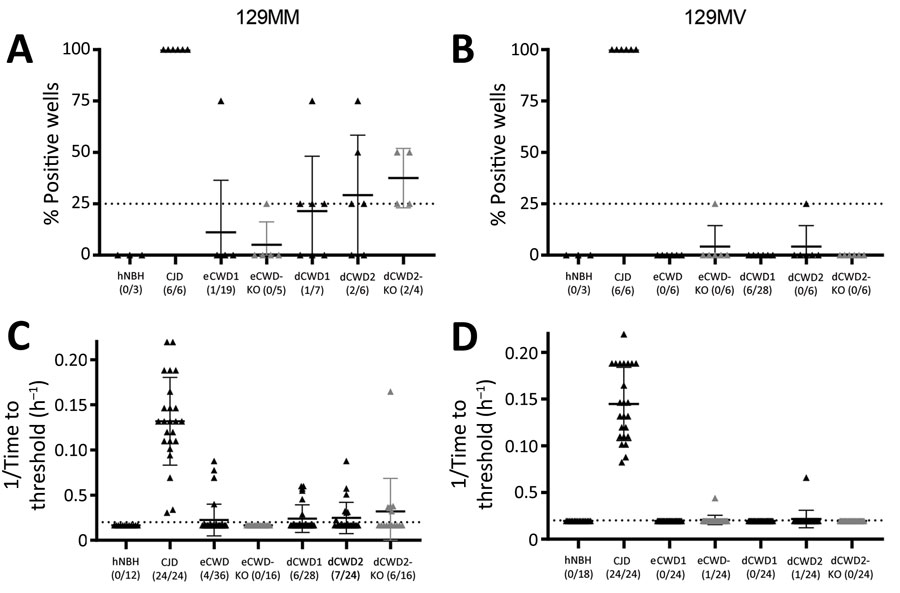 Real-time quaking-induced conversion (RT-QuIC) seeding activity of CWD-exposed organoids in study of lack of transmission of chronic wasting disease prions to human cerebral organoids. RT-QuIC seeding activity in organoids harvested at 180 days postinoculation is shown as either % positive wells (A, B) or the reciprocal of time-to-significance threshold (C, D) for the 129MM (A, C) and 129MV (B, D) organoids. Dotted lines indicate the threshold above which a sample would be classified as positive. Individual dots show single organoids with the means and SDs indicated. Gray symbols are indicative of knockout organoids. No significant differences were observed between the CWD-inoculated wild type organoids and their corresponding knockout organoids by Welch’s t-test. CJD, Creutzfeldt-Jakob disease; CWD, chronic wasting disease; dCWD1, whitetail deer CWD; dCWD2, mule deer CWD; dNBH, deer normal brain homogenate; eCWD, elk CWD; eNBH, elk normal brain homogenate; hNBH, human normal brain homogenate.