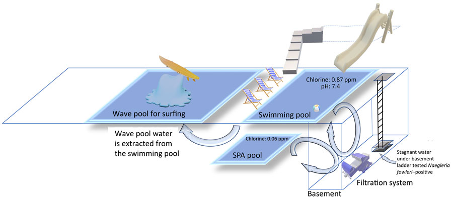 Illustration of 3 pools and basement mechanical area in an investigation of a fatal case of Naegleria fowleri primary amebic meningoencephalitis from indoor surfing center, Taiwan, 2023. Chlorine levels for pools are shown. Water for the wave pool was extracted from the swimming pool, and no additional chlorine was added to the wave pool. ppm, parts per million.