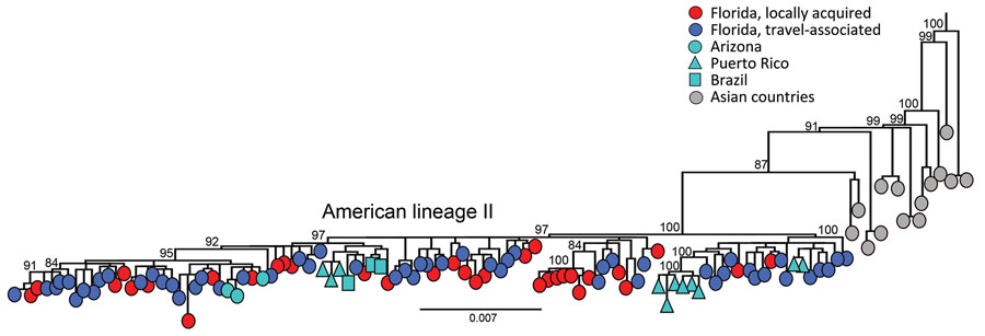 Evolutionary analysis of dengue virus serotype 3 sampled in Florida, USA, May 1, 2022–April 30, 2023. Maximum-likelihood phylogenetic tree was generated from a subset of 203 complete genomes from Florida (34 local cases, 168 cases in persons with recent travel history to Cuba, and 1 traveler case from Guyana) and 146 complete genomes publicly available (1985–2022) from GenBank representing genotype III, American lineage II. A subset of the sequences was used because of the low diversity in the population sample, which was limiting the phylogenetic signal and hampering the statistical analyses that supported the tree accuracy and certainty in major nodes. Sampling locations are coded by shape and color. Scale bar represents nucleotide substitutions per site.