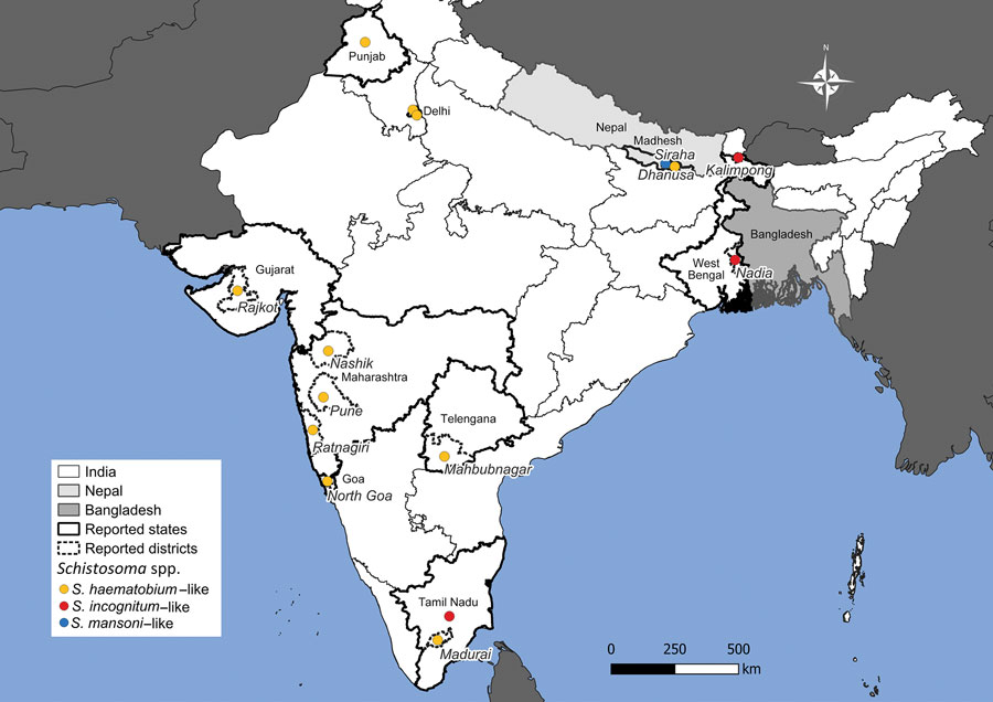 Geographic locations of Schistosoma incognitum passage from humans and autochthonous human schistosomiasis in India and Nepal. Map shows credible reports of urinary or fecal passage of schistosome eggs in India and Nepal from this study and others (1,8–11,14,15). Included patients had no reported travel history to known endemic areas. Where possible, state and district information are provided. 