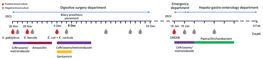 Timeline of main events for case report on the isolation of Emayella augustorita, a novel bacterium of the Pasteurellaceae family recovered from a patient with sepsis, France. E. coli, Escherichia coli; E. faecalis, Enterococcus faecalis; K. variicola, Klebsiella variicola; S. gallolyticus, Streptococcus gallolyticus.