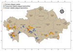 Epizootologic zoning of plague in a historical assessment and mapping of human plague, Kazakhstan, 1926–2003. Human plague cases and known and presumed plague epizootic areas are noted.