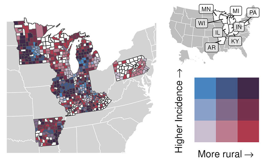 Associations between rurality and histoplasmosis incidence for counties reporting >1 case in 8 US states for which data were available, 2011–2014 and 2019–2020. For counties with >1 case of histoplasmosis, bivariate map shows county incidence (split into low-, mid-, and high-incidence tertiles) versus rurality (micropolitan and noncore, medium and small metropolitan, and large metropolitan counties); colors indicate the combination of incidence-rurality levels for each county. Counties without a case are shown in white. Inset map indicates names of the 8 states.