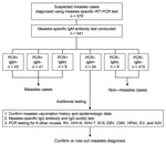 Flow diagram for analysis of suspected measles cases with discrepant measles-specific IgM and rRT-PCR test results, Japan. AdV, adenovirus; B19, parvovirus B19; CMV, cytomegalovirus; EBV, Epstein-Barr virus; EV, enterovirus; HHV-6, human herpesvirus 6; HHV-7, human herpesvirus 7; HPeV, human parechovirus; rRT-PCR, real-time reverse transcription PCR; RV, rubella virus; + positive, ­–, negative; +, equivocal.