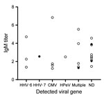 Measles-specific antibody titers and febrile exanthematous viral gene detection results in an analysis of suspected measles cases with discrepant measles-specific IgM and rRT-PCR test results, Japan. Figure represents 24 cases with measles-specific IgM-positive and rRT-PCR–negative results. White circles represent cases in children <1 year to 4 years of age with >1 doses of measles-containing vaccine; black circles represent cases in adults with unknown vaccination history. CMV, cytomegalovirus; HHV-6, human herpesvirus 6; HHV-7, human herpesvirus 7; HPeV, human parechovirus; multiple, multiple pathogens were detected; ND, not detected.