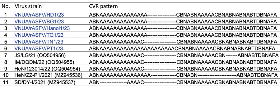 Alignment of ASFV CVR signatures between rASFV genotype I/II strains from Vietnam and China, and genotype I strains from China, recovered from domestic swine in Vietnam and China, 2023. Numbers in parentheses are GenBank accession numbers. ASFV, African swine fever virus; rASFV, recombinant ASFV; CVR, central variable region.