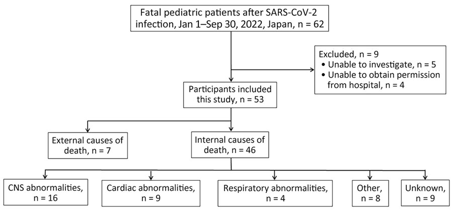 Patient selection in study of fatal SARS-CoV-2 infection among children, Japan, January–September 2022. CNS, central nervous system.