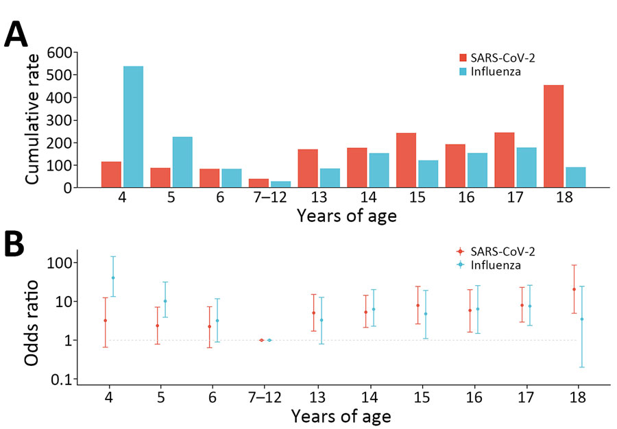 Infection rates and risk for SARS-CoV-2 and influenza infections by narrower age groups in study of infection rates, symptomatic proportion, and age-dependent risk profiles of SARS-CoV-2 and influenza in pediatric population, China, 2023. A) Cumulative infection rates per 1,000 persons; B) odds ratios (log scale) by age. Error bars indicate 95% CIs.