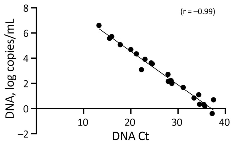 Linear regression analysis of Ct values and MPXV DNA levels in clinical specimens from study of role of direct sexual contact in human transmission of MPXV, Italy. Results show highly negative correlation (r = −0.99) between Ct values and the amount of MPXV DNA. Ct, cycle threshold; ddPCR, digital droplet PCR; MPXV, monkeypox virus.