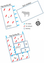 Schematic of a mixed pig and beef farm where influenza D virus was detected in pigs, France. Numbers of pigs in B1: F, n = 120 gilts; G + I, n = 160 sows and a few males; N, n = 960 (2 groups of 480 pigs, 5 and 10 weeks of age). Numbers of pigs in B2: F, n = 1,440 (3 groups of 480 pigs of 15, 20, and 25 weeks of age). F, fattening; Fw, farrowing room; G, gestation room; I, insemination room; N, nursery; Q, quarantine.