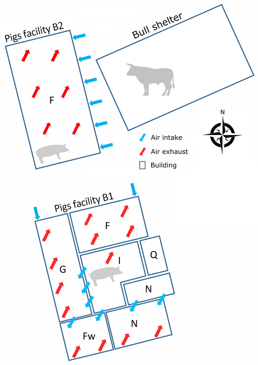Schematic of a mixed pig and beef farm where influenza D virus was detected in pigs, France. Numbers of pigs in B1: F, n = 120 gilts; G + I, n = 160 sows and a few males; N, n = 960 (2 groups of 480 pigs, 5 and 10 weeks of age). Numbers of pigs in B2: F, n = 1,440 (3 groups of 480 pigs of 15, 20, and 25 weeks of age). F, fattening; G, gestation room; I, insemination room; Q, quarantine; Fw, farrowing room; N, nursery.