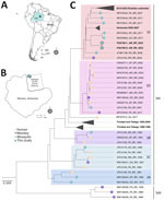 Vector surveillance at the Adolpho Ducke Forest Reserve as part of a study of yellow fever virus (YFV) in mosquitoes from rainforest bordering Manaus, Brazil, 2022. A) Location of Manaus, the capital of Amazonas state. B) Location of the Adolpho Ducke Forest Reserve bordering the city. Light green dots indicate sites where YFV-positive mosquitoes were collected in Adolpho Ducke Forest Reserve. C) Maximum-likelihood phylogenetic tree of YFV based on complete genome sequences from South America. The tree was reconstructed according to the general time reversible plus empirical base frequencies plus invariable sites plus gamma 4 nucleotide substitution model. We tested the reliability of branching patterns using ultrafast bootstrap approximation combined with a nonparametric approximate likelihood-ratio test in IQ-TREE v.2.0.3 (http://www.iqtree.org) and visualized and edited the tree in FigTree v.1.4.4 (https://github.com/rambaut/figtree). Scale bar indicates branch lengths. SAI, South American I genotype; SAII, South American II genotype; 1A–1E, SAI lineages.