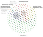 Cluster network of all isolates from molecular surveillance of multidrug-resistant bacteria among refugees from Afghanistan in 2 US military hospitals during Operation Allies Refuge, 2021. Isolates are grouped and colored by bacterial species. X indicates carbapenemase-producing isolates. Circles without connecting lines represent genetically unrelated isolates. Connected circles represent isolates that are <10 core alleles genetically distinct from Operation Allies Refuge isolates or historical isolates from Landstuhl Regional Medical Center, Landstuhl, Germany and Bagram Air Force Base, Parwan Province, Afghanistan. Clusters grouping serial isolates from single patients are not shown. 